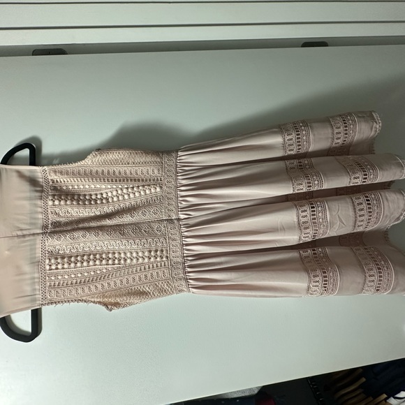 All Saints Rowy Lace Blush Pink Dress - Picture 7 of 10